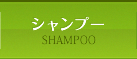 シャンプー